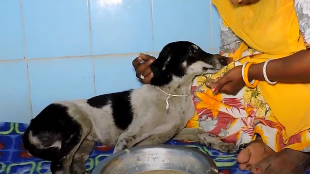 Extra image from article