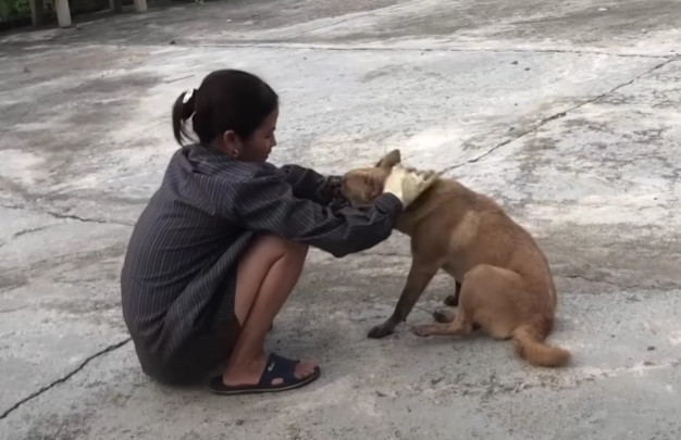 Extra image from article