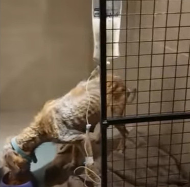 The turning point in her recovery was sy...
