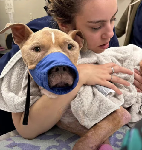 Surrounded by caring volunteers and othe...