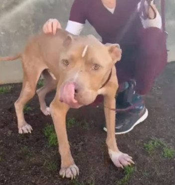 Extra image from article