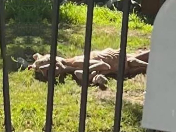 Every day was a battle for survival for ...