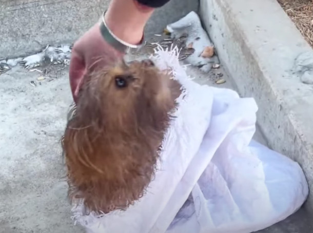 Now in a safe and loving environment, th...