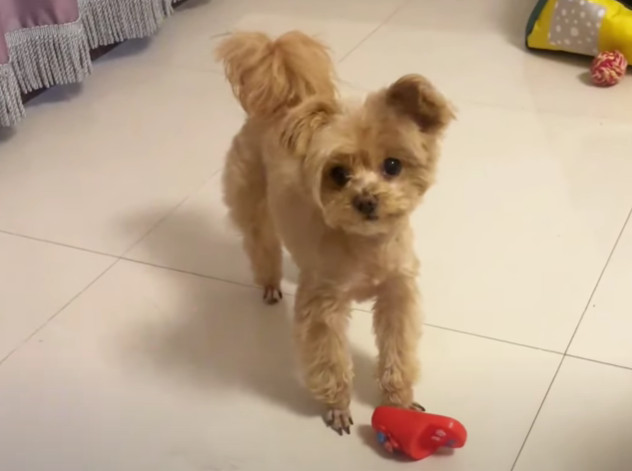 Extra image from article