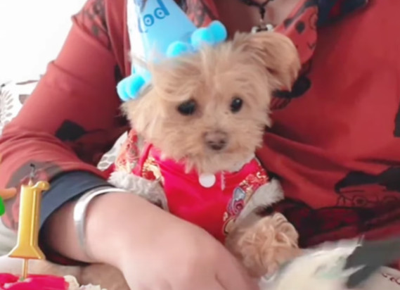 Extra image from article