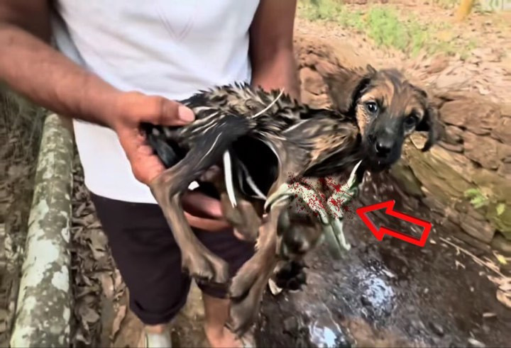 Gently peeling open the bag, I was stunn...