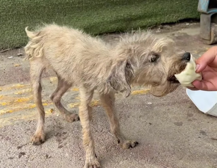 After witnessing the joy he took in his ...