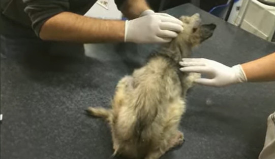 The act of bathing marked a significant ...