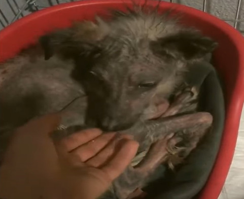 A few months passed, and the transformat...