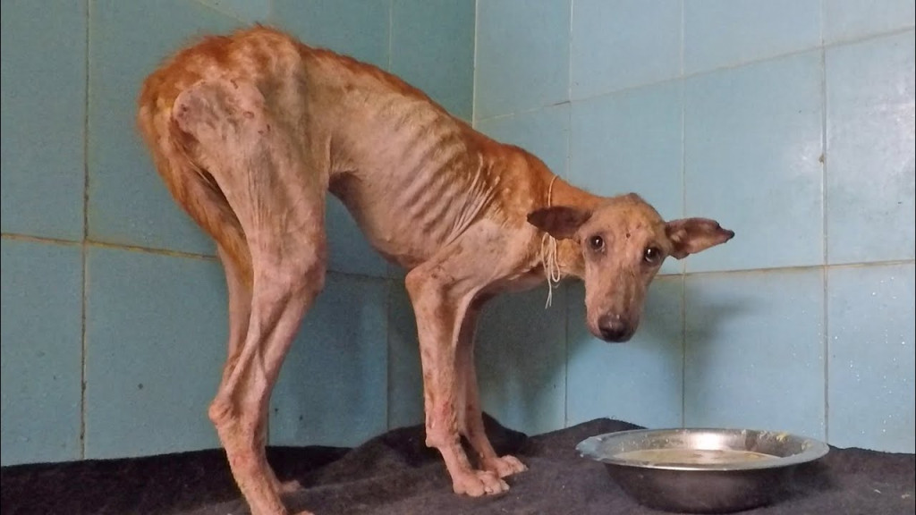 These small acts of bravery were not onl...