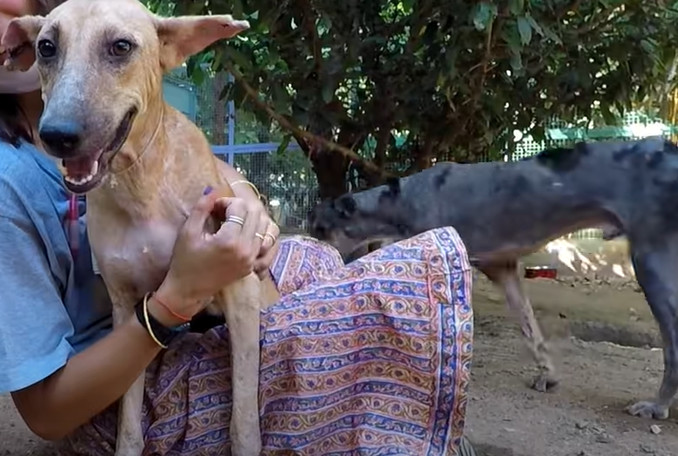 Extra image from article