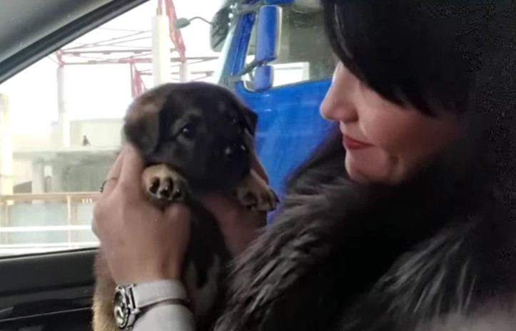 Extra image from article