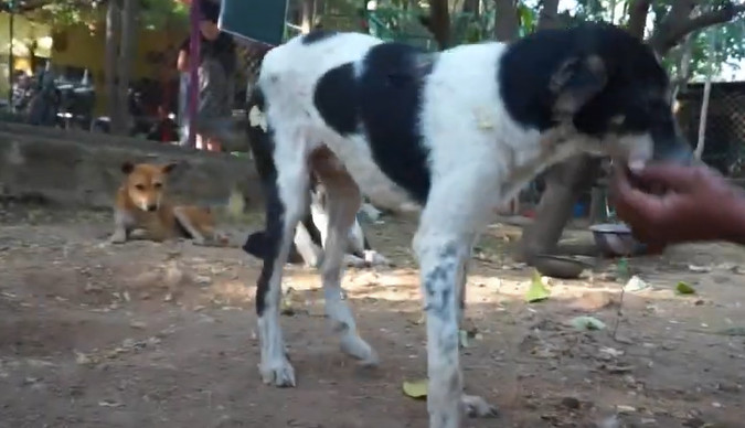 Extra image from article