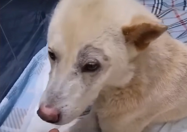 Extra image from article