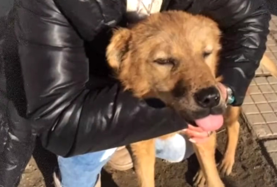 Today, Morty enjoys a joyful and fulfill...