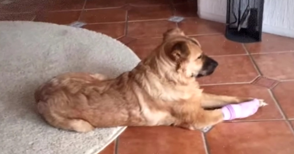 Extra image from article