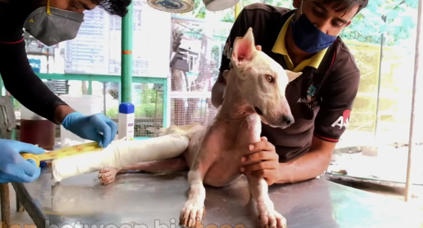 With vigilant care and attention over ti...