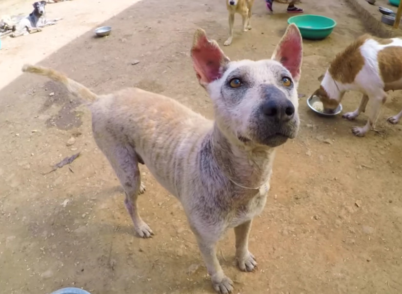 Eventually, after persistent care and un...