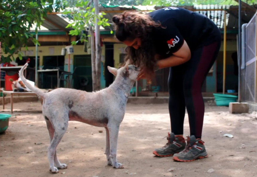 Extra image from article