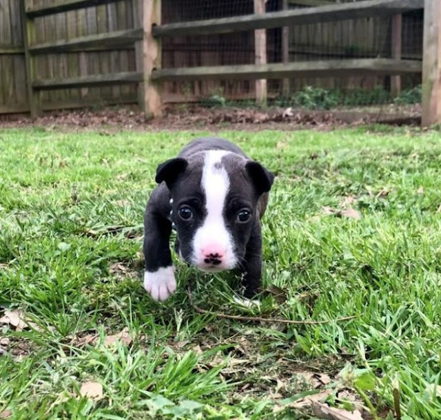 To aid her recovery, passive range of mo...