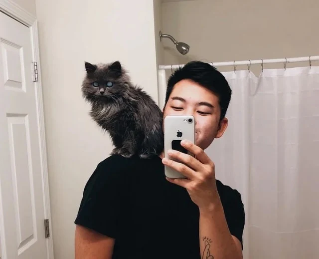 Feel free to share Merlin's heartwarming...