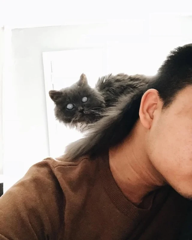 Extra image from article