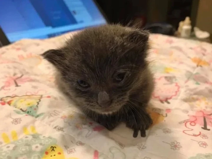 Liam still has a journey ahead, but he i...