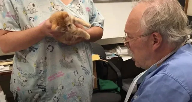 Through all this, Nigel's spirited and l...