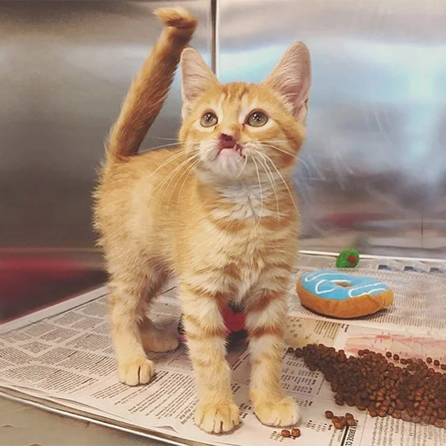 During this time, the most wonderful new...