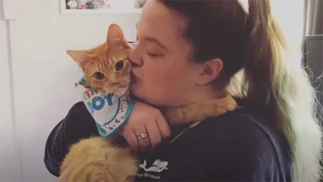 Extra image from article