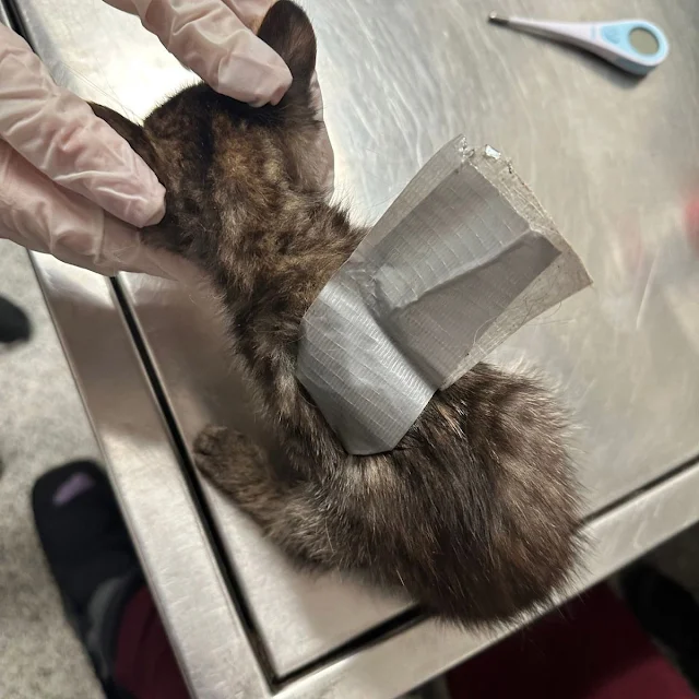 The rescuers were led to a residence whe...