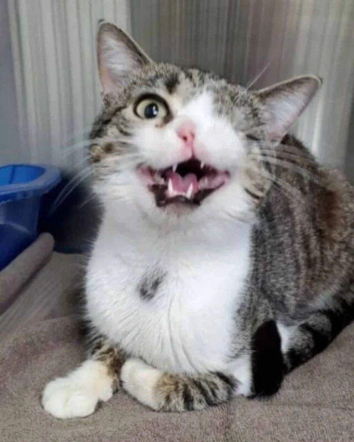 Thanks to our Privacy Notice, we use per...