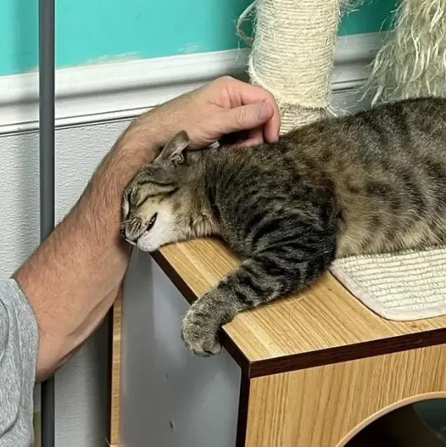 Extra image from article