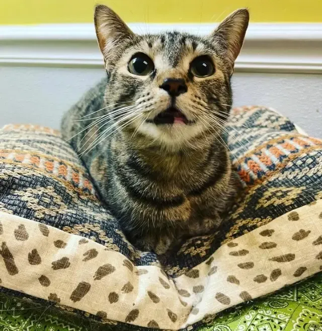 After spending 792 days in foster care, ...