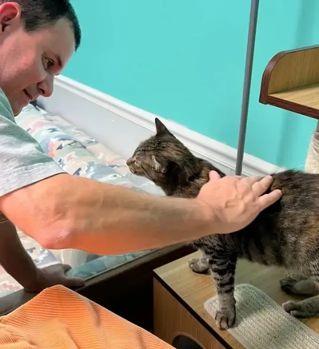 Extra image from article