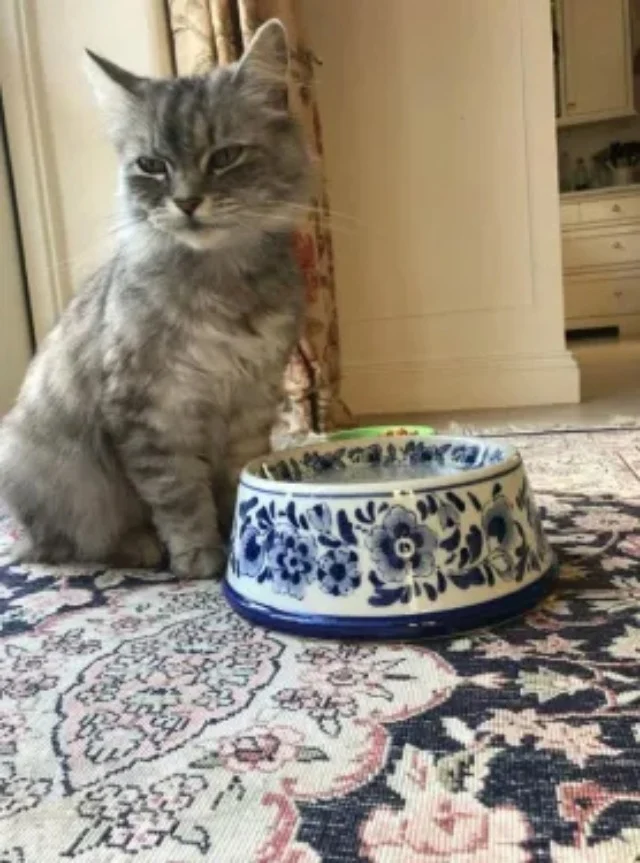 A stroke of luck changed everything. Jus...