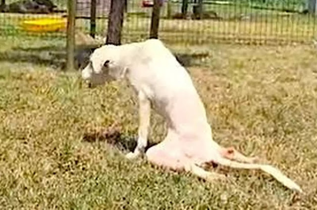 Share this inspiring journey of Lawson's...