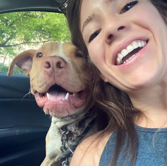 Extra image from article