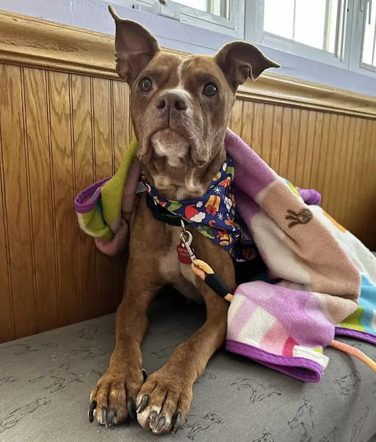 Extra image from article