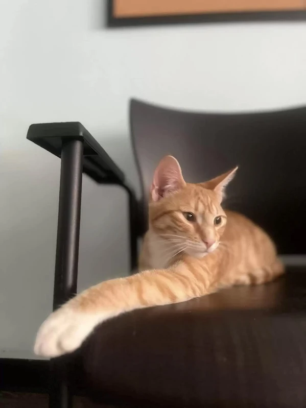 Even when Tigger moved from AHS Newark t...