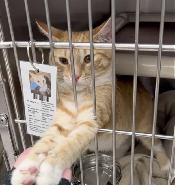 This simple yet powerful gesture left a ...