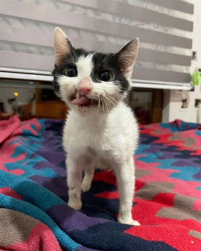 Feel free to share this heartwarming sto...