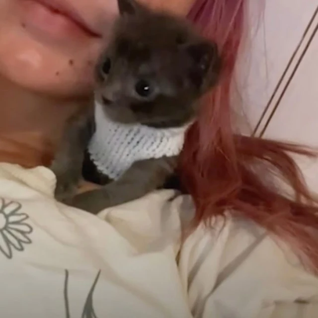 It's truly heartening to see how the Bes...