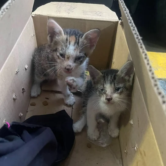 Although some local residents cautioned ...