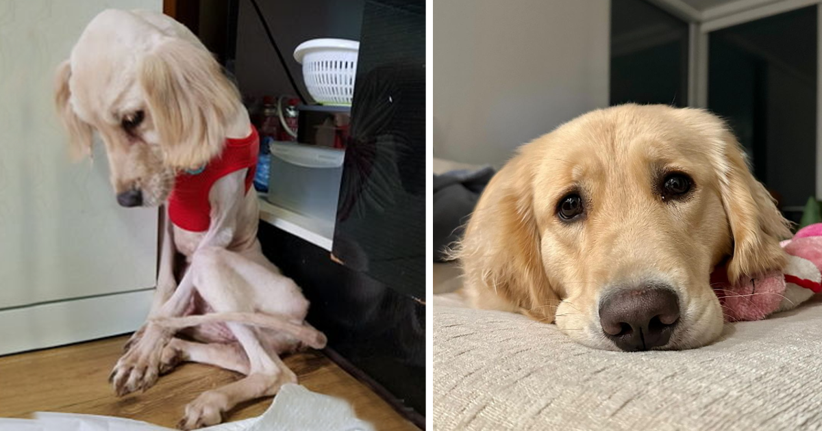 Despite these hardships, Max had a gentl...
