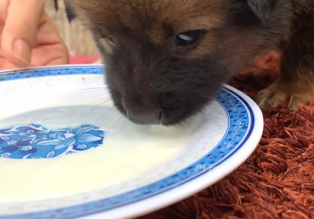 Reflecting on this narrative inspires us...