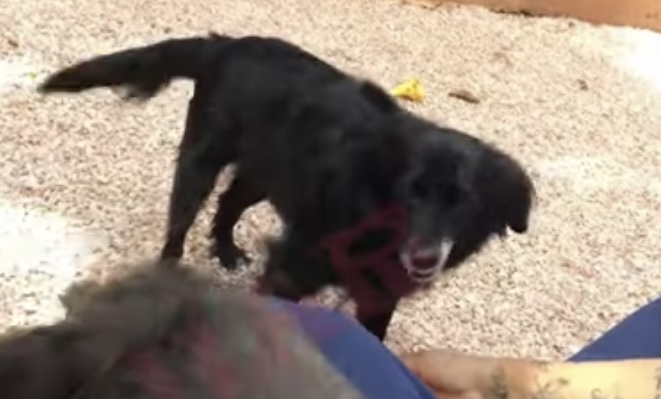 Extra image from article