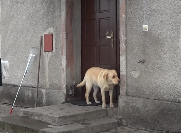 The neighborhood, touched by the poignan...