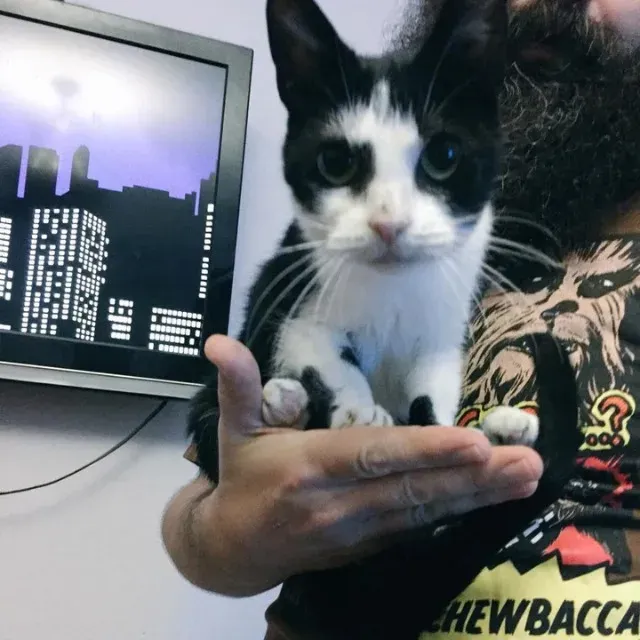 TimTams is thriving in her loving new ho...