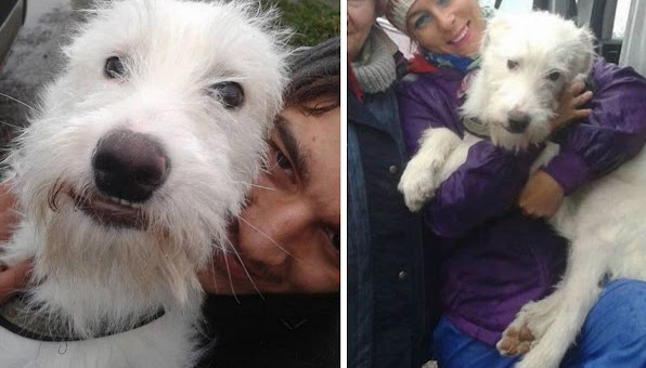 Extra image from article